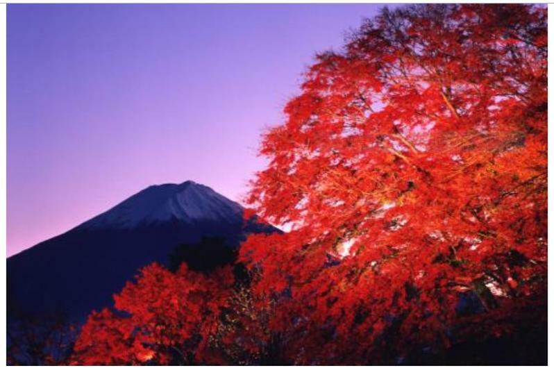 فيلا Erable Mt.Fuji "Kaze" فوجيكاواجوتشيكو المظهر الخارجي الصورة